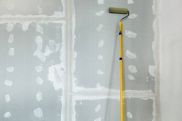 Best Air Quality Testing for Mold Spores  in Appleton City, MO