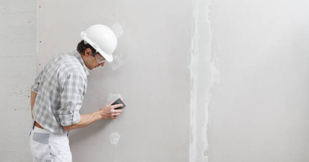 Best Biohazard Mold Removal  in Appleton City, MO