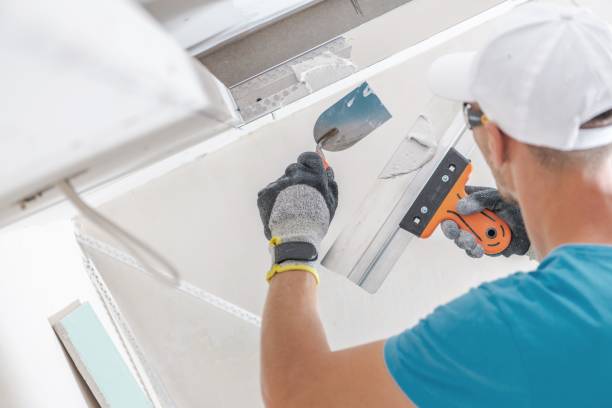 Best Water Damage & Mold Remediation  in Appleton City, MO